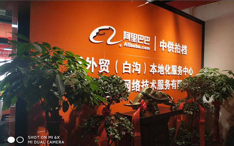 图片11.png