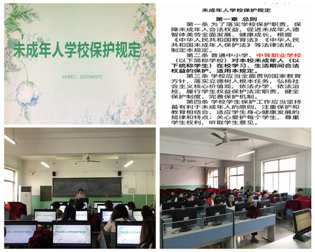 IMG_2727.PNG
